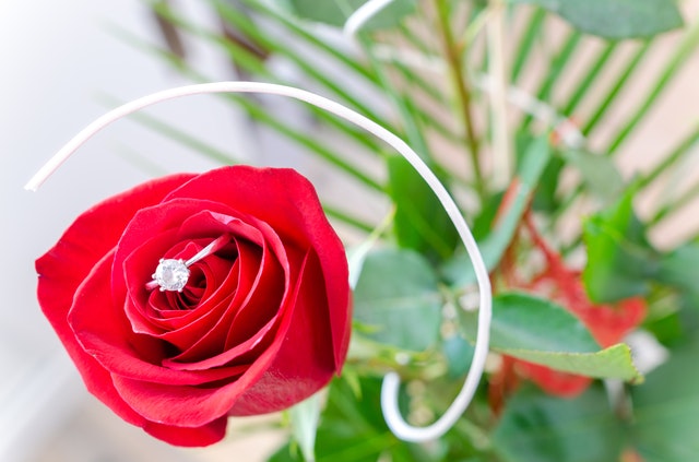 浪漫求婚送多少朵玫瑰合适，寓意有哪些？