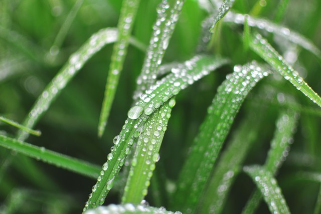 人间四月芳菲尽，流年弹指一挥间