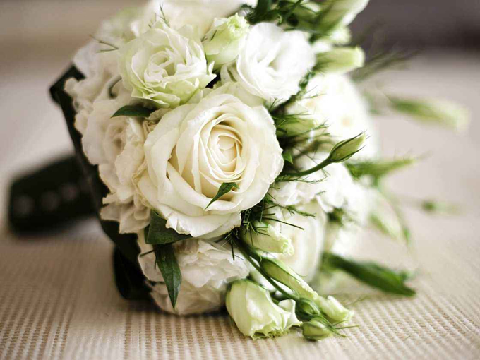 白玫瑰的花语：天真、纯洁、尊敬、谦卑