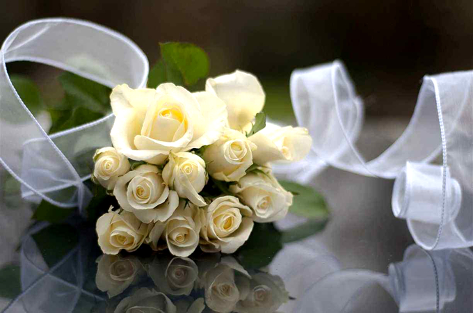 白玫瑰的不同朵数有不同的寓意